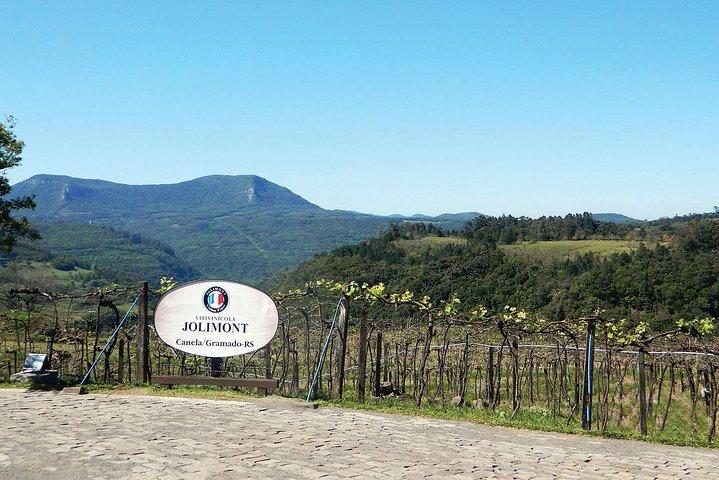 Jolimont Winery Tour - Visitation and Tasting - Canela RS