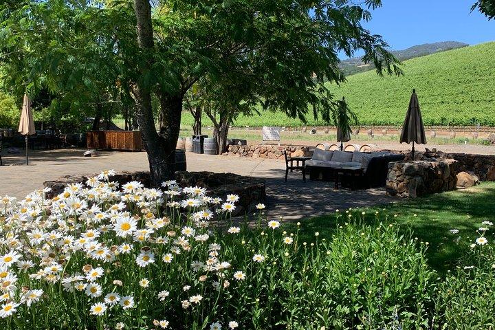 Sonoma und Napa 6h - 8h - Private Weintour mit Concierge-Service