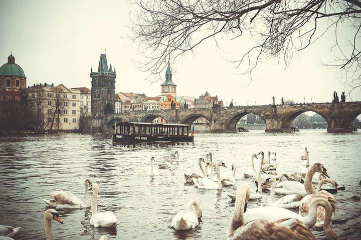 Excursión privada de medio día a Praga