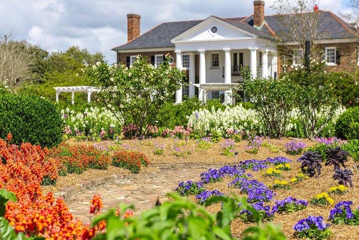 Adgangskort til adgang til Boone Hall Plantation