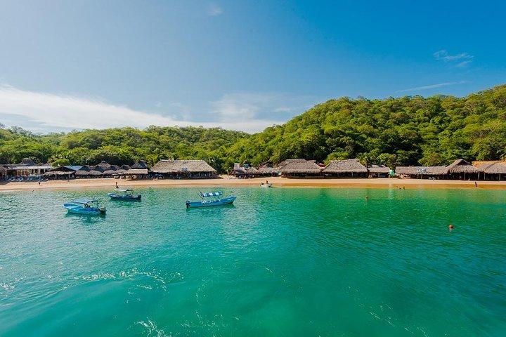 5-Bay Exclusive Premium Panga Experience