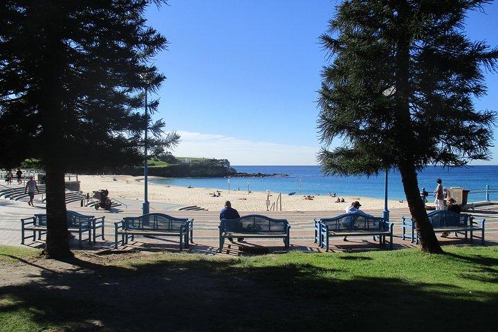 Privat coogee til Bondi Walk fra dit byhotel