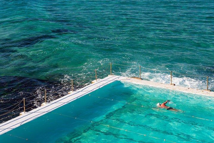 Privat coogee til Bondi Walk fra dit byhotel