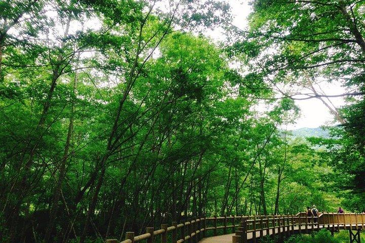 Kamikochi Mountain Day Trip von Tokio