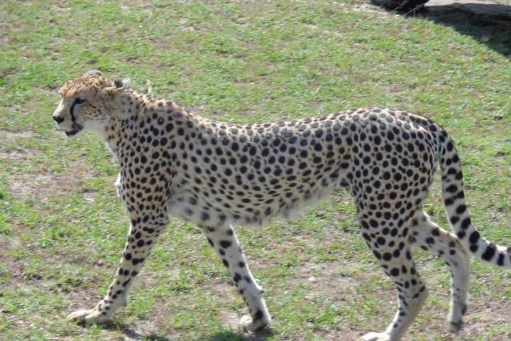 3 Days In Masai Mara