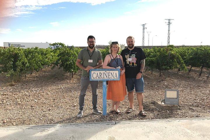 Tour della cantina di mezza giornata da Saragozza