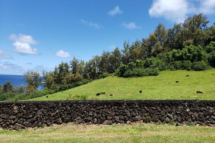 マウイ島ツアー：ラハイナ発ハナへの日帰り旅行（送迎付き）
