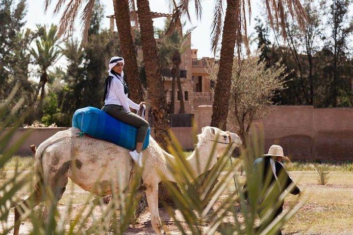 Private Photo Session with a Local Photographer in Marrakesh