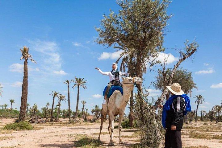 Private Photo Session with a Local Photographer in Marrakesh