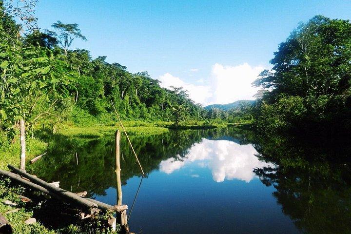4 Day Manu Jungle Tour: Amazon Wildlife Experience from Cusco