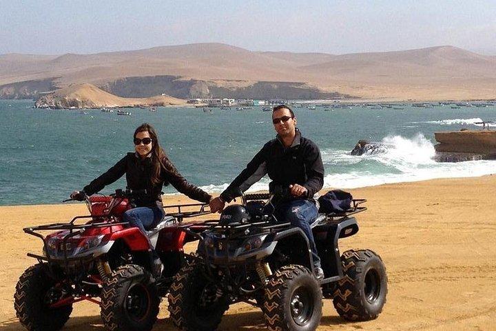 Paracas: Tour en Cuatrimoto por la Reserva Nacional