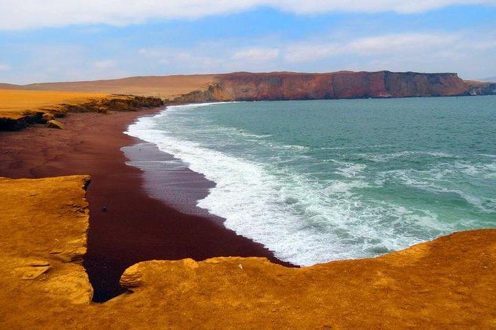 Paracas: Tour en Cuatrimoto por la Reserva Nacional