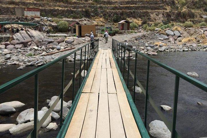 Heldagstur inklusive transfer til Puno / Colca Canyon