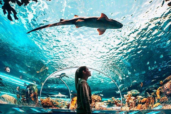 Toronto, Niagara Falls et Thousand Islands Excursion de 2 jours