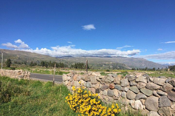 2-dages vandring inklusive transfer til Puno / Colca Canyon
