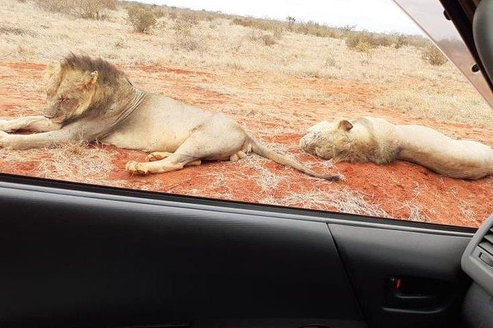 3 días Tsavo Adventure Tsavo East & West National Parks