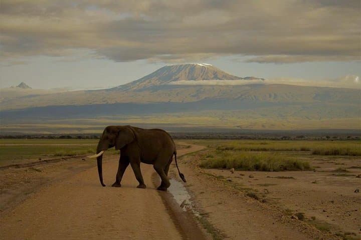 3-Day Maasai Mara Guided Safari From Nairobi