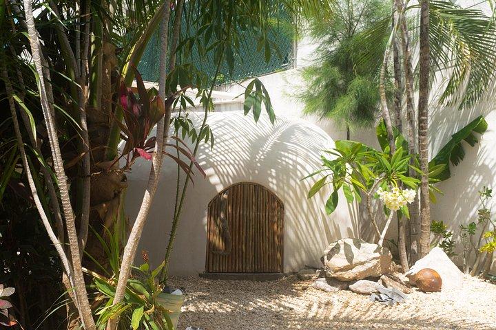 Traditional and ancestral Temazcal experience