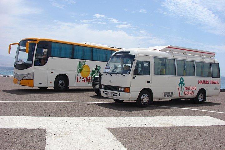 ハルガダ、Sahl Hashishへの国際空港送迎