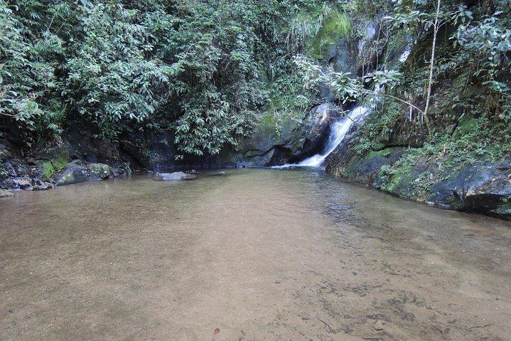 Christ, Botanic Garden & Waterfall Shower. 6 Hours Tour.