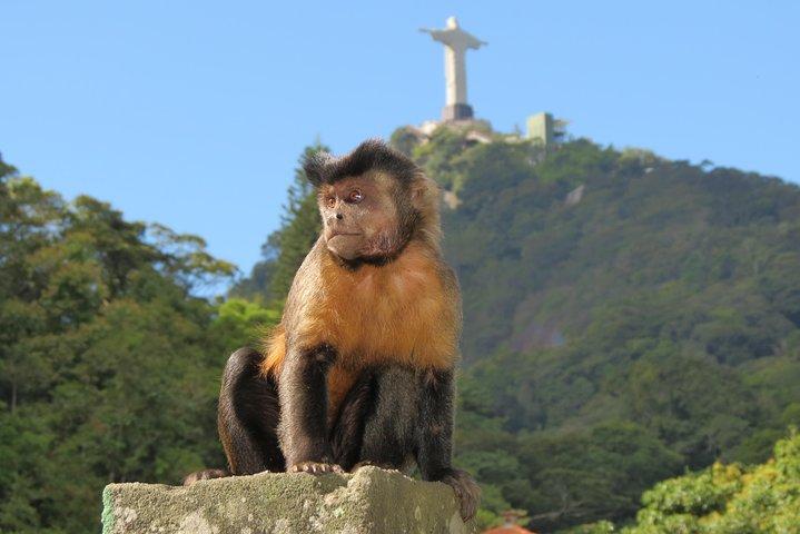 キリスト、植物園、滝のシャワー。 6時間のツアー。