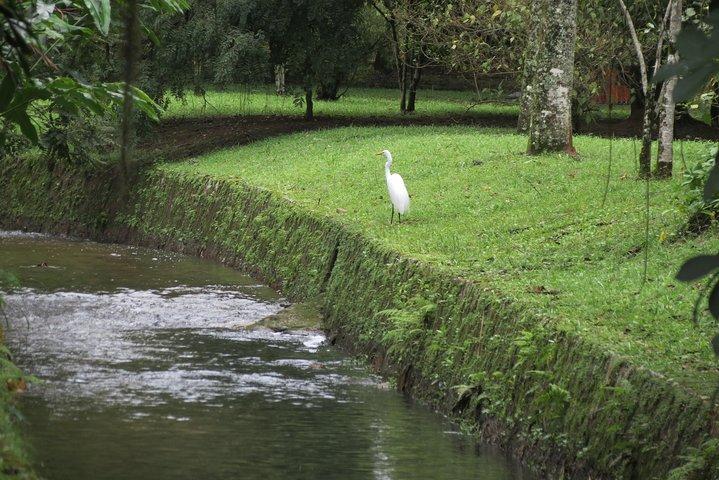 キリスト、植物園、滝のシャワー。 6時間のツアー。