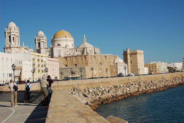 Jerez & Cadiz-wijnmakerij met proeverij en paardenshow uit Sevilla