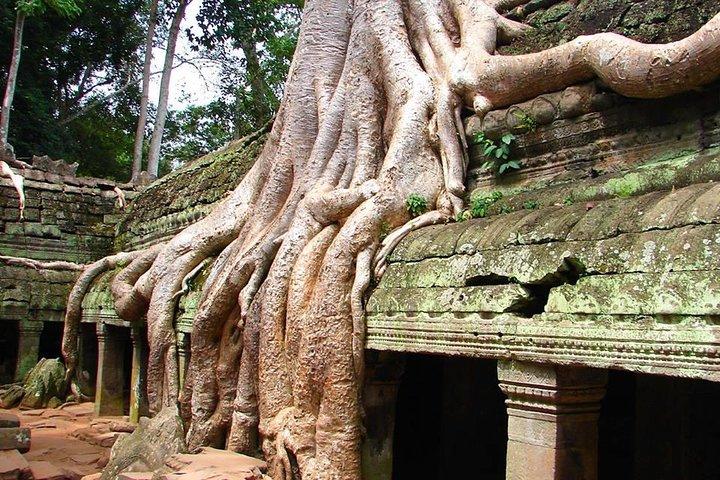 Expedición de 4 días desde Bangkok a Angkor Wat