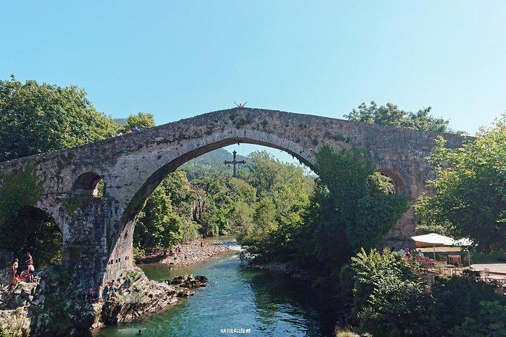 Direct Tour to Covadonga Lakes Picos de Europa from Oviedo