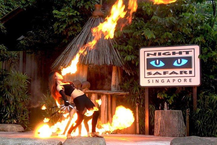 Zoológico de Cingapura e Safari Noturno Dia (ingressos e traslado)