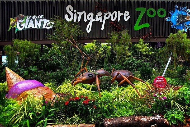 Singapore Bird Paradise & Zoo ganztägig (Ticket & Transfer)