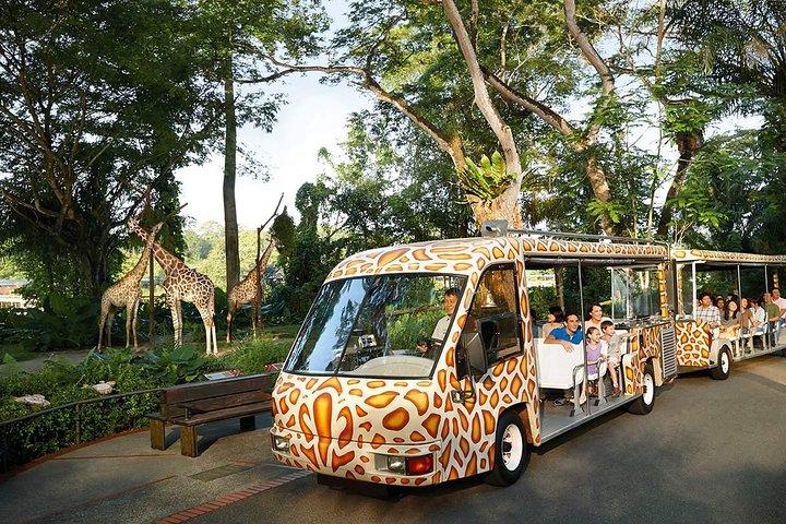 Singapore Bird Paradise & Zoo ganztägig (Ticket & Transfer)