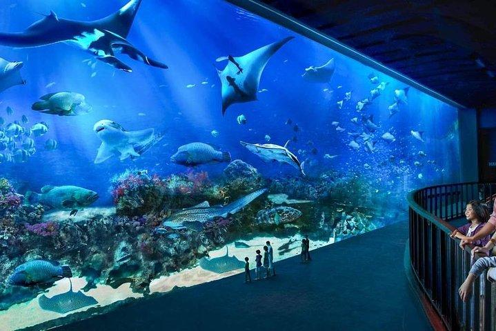 Sentosa Attraction Billet et transfert uniquement