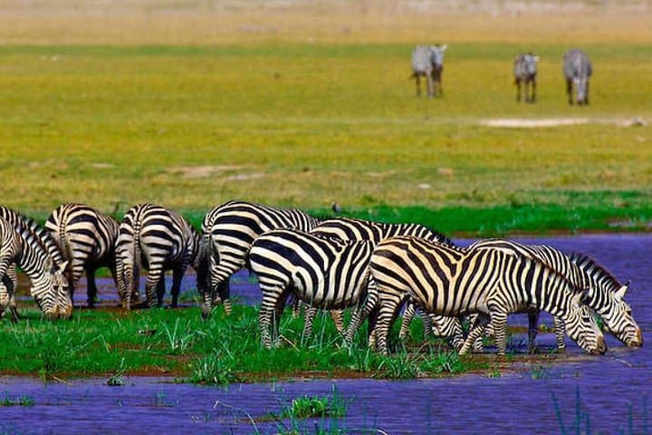 3 Days Amboseli National Park Safari
