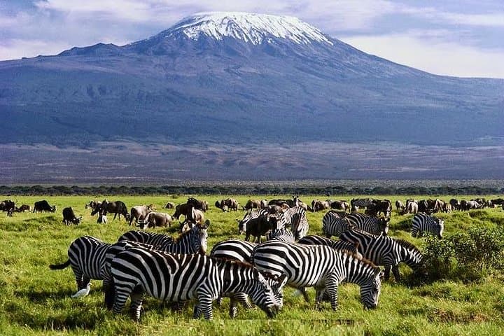 3 Days Amboseli National Park Safari