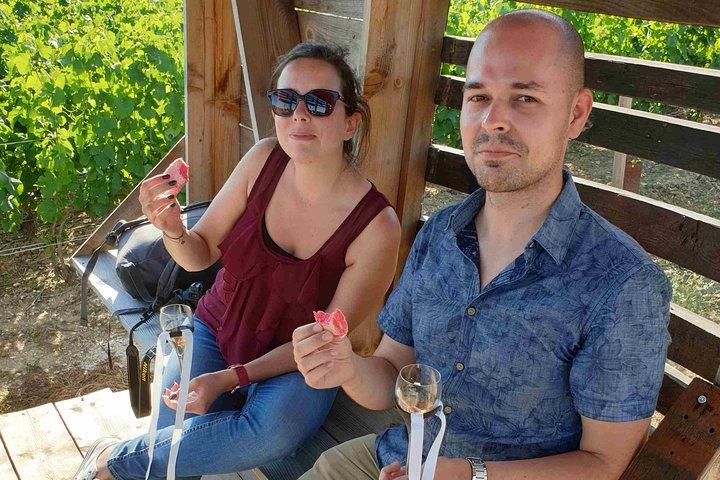 エペルネイの近くでシャンパンを試飲しながら、ブドウの木の中心部を歩きます