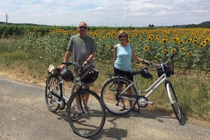 Vingårdcykelture i og omkring Chinon i Loire-dalen