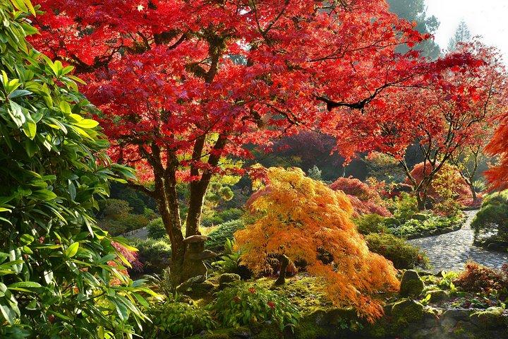 Tour privato: Giardini di Vancouver
