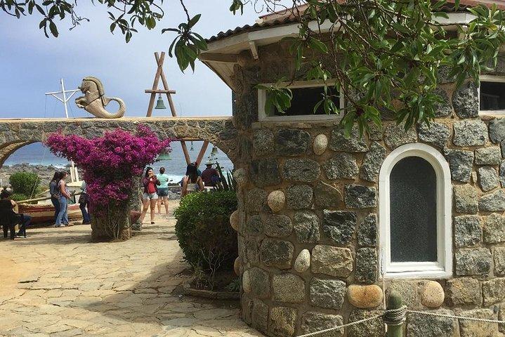 Musées Neruda : Isla Negra&La Sebastiana De Valpo. Visite privée