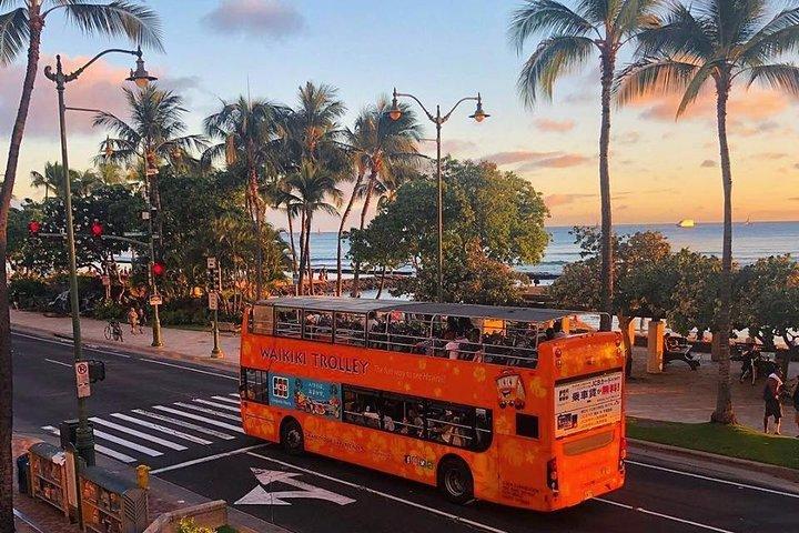 Hoppa på hoppa av-rundtur i Honolulu med Waikiki Trolley