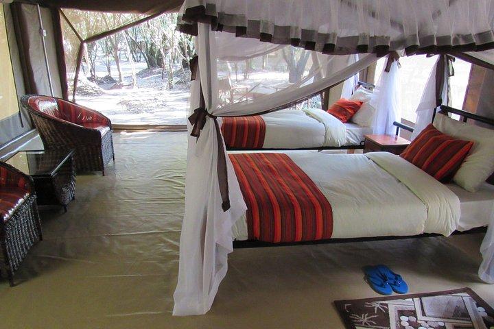 3-Day Masai Mara Safari