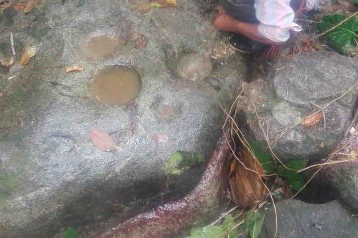 Lost jewel, Tour 1 day Sierra nevada de santa marta. only relics !.