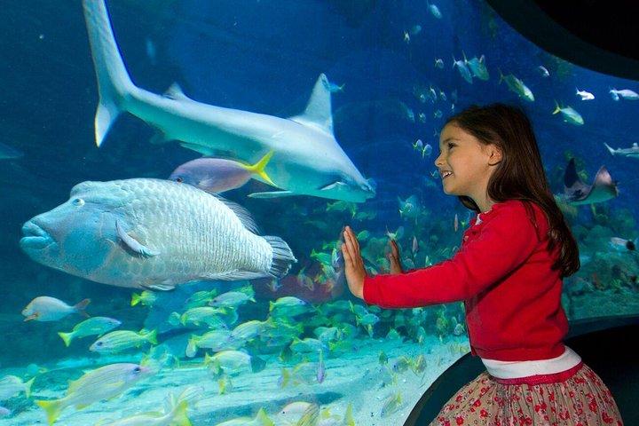 Entrada para o Melbourne Aquarium