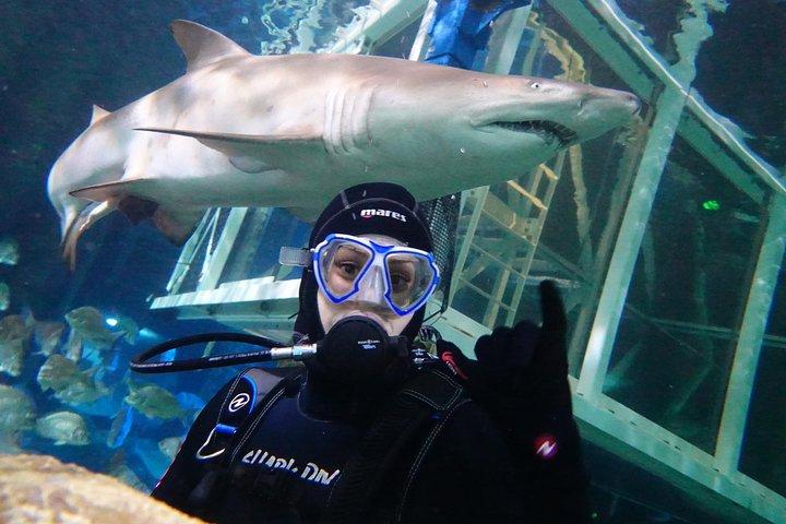 SEA LIFEシドニー水族館のShark Dive Xtreme