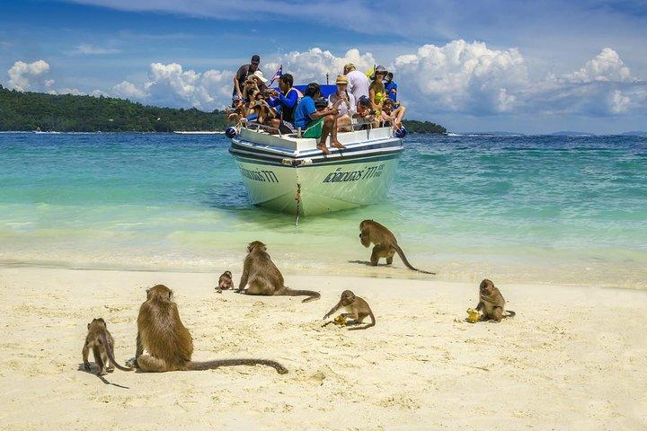 夜明けにマヤ湾を発見: ファイファイの群衆を避ける