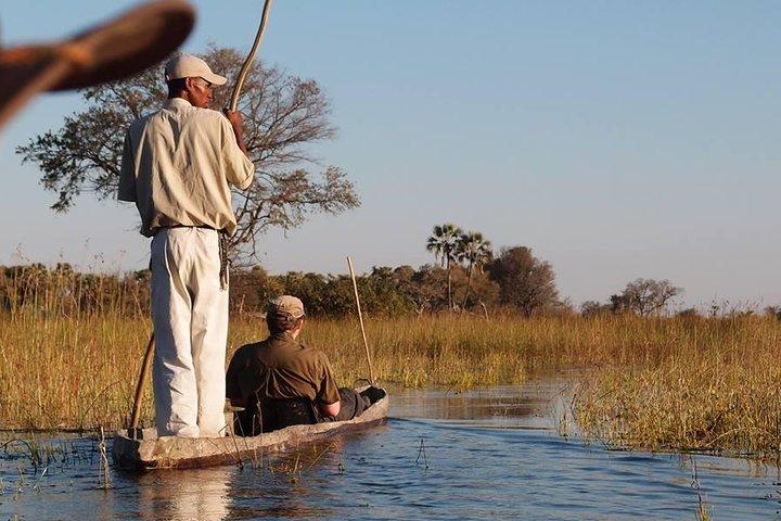Safari De 11 Días En Botswana