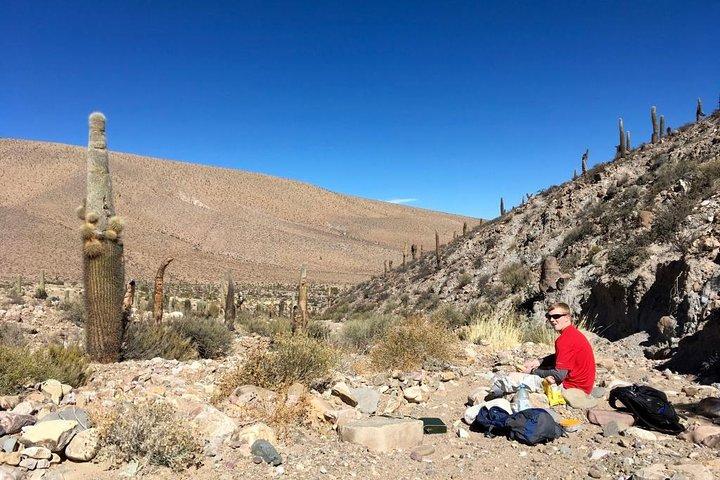 Vandre Inca trail i Argentina