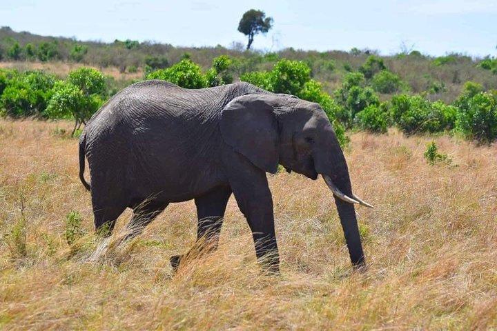 3 Days Best Of Kenya