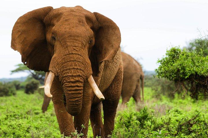 3 Days Best Of Kenya