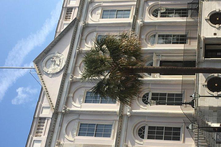 Charleston Walking Tours con Ann